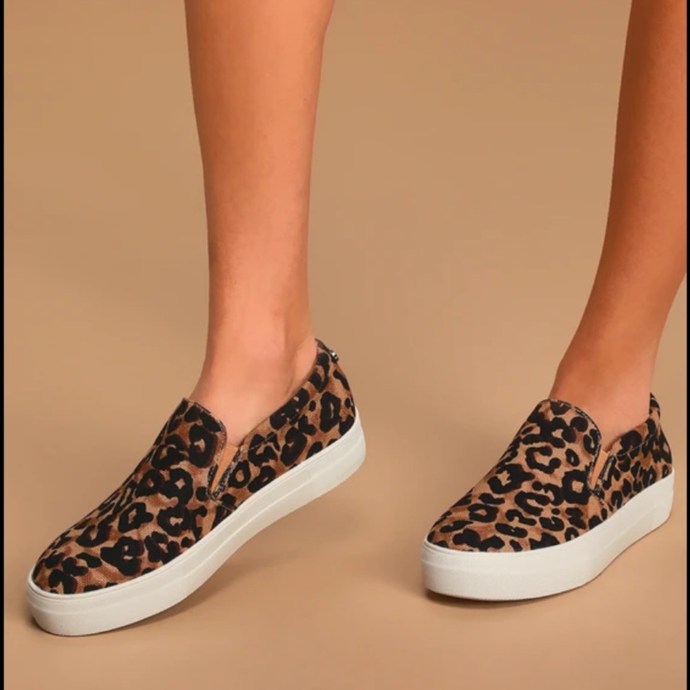 STEVE MADDEN GILLS leopard sneakers. Size 6M. Brand new condition.